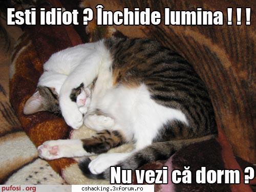 lol de cand il caut mersi mult !!! winrar pro free